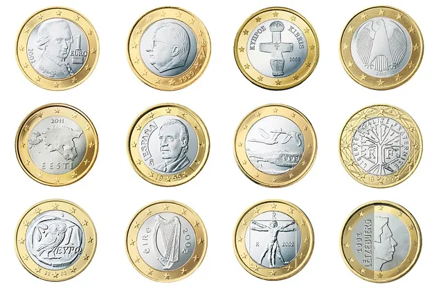 Euro
