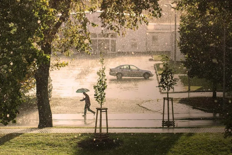 storm-regen
